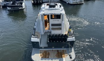 Sargo 36